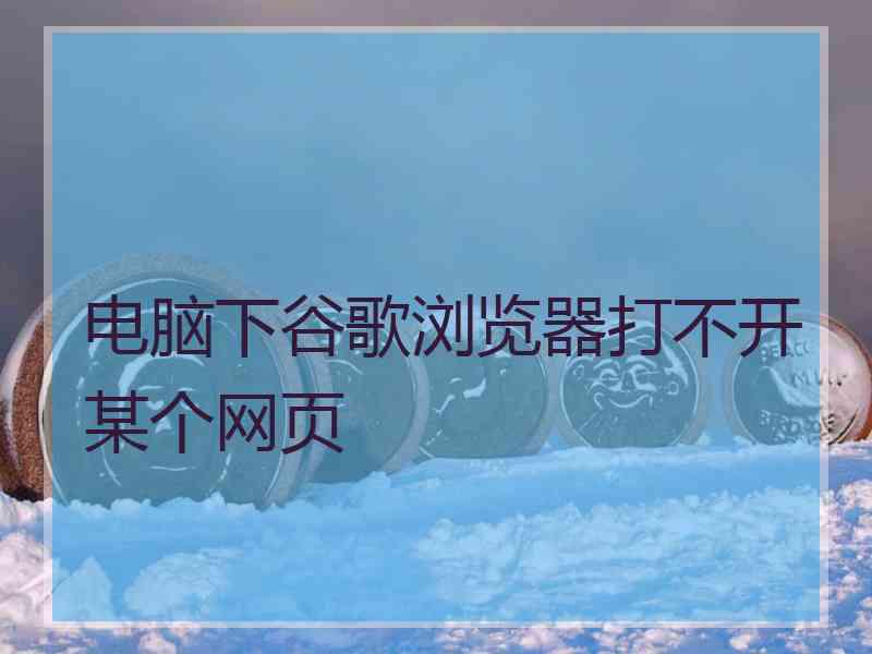 电脑下谷歌浏览器打不开某个网页