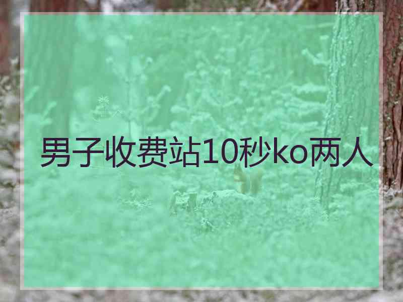 男子收费站10秒ko两人