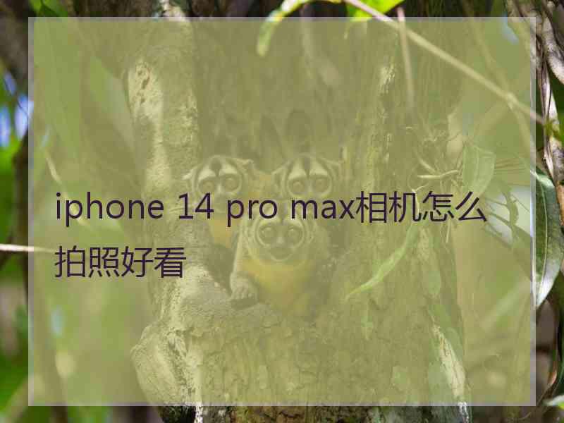 iphone 14 pro max相机怎么拍照好看