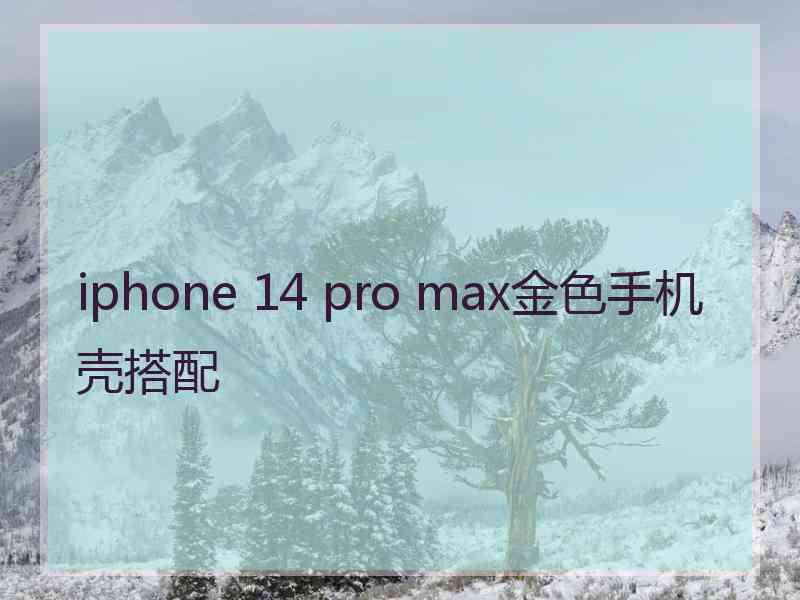 iphone 14 pro max金色手机壳搭配