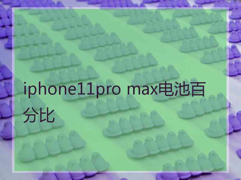 iphone11pro max电池百分比