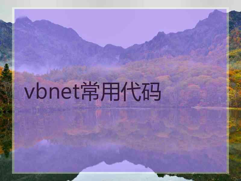 vbnet常用代码