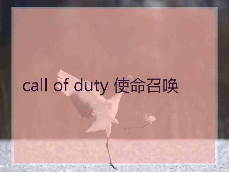 call of duty 使命召唤