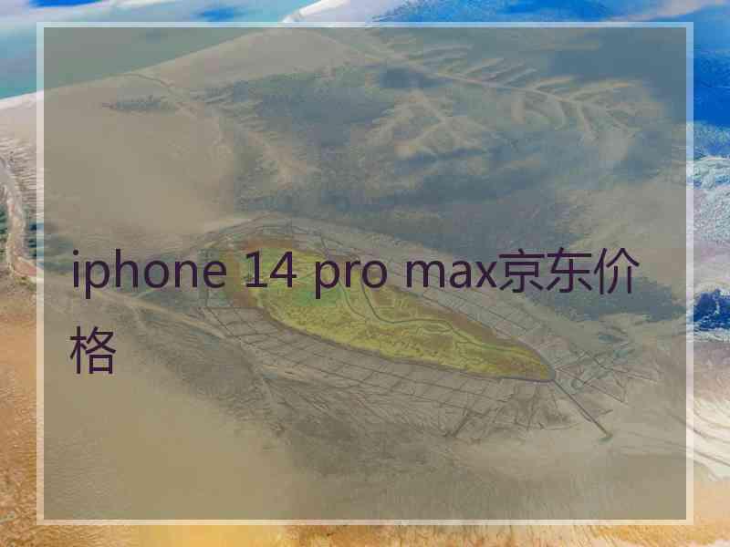 iphone 14 pro max京东价格