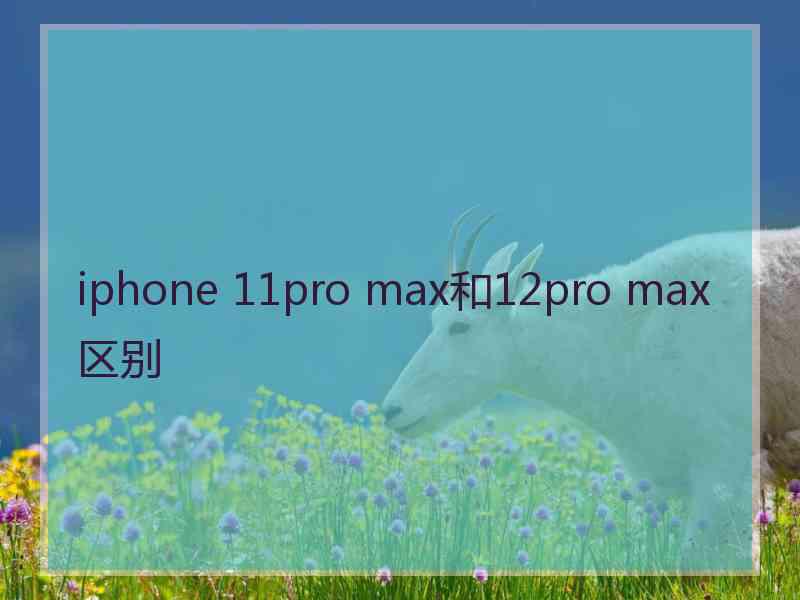 iphone 11pro max和12pro max区别