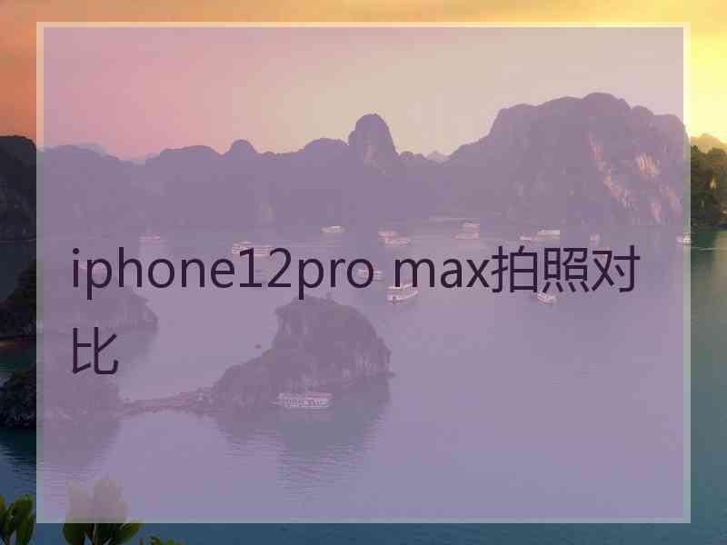 iphone12pro max拍照对比