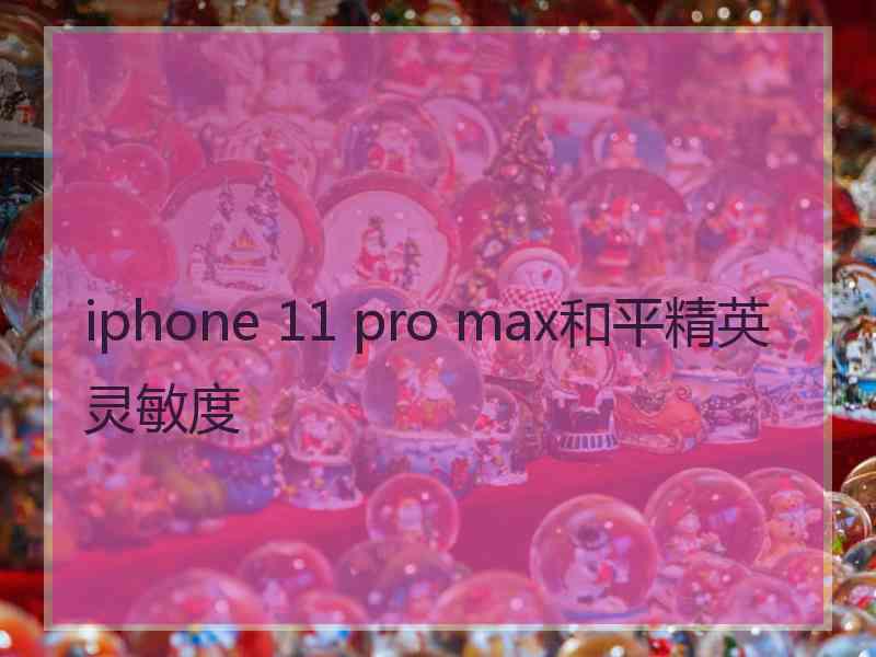 iphone 11 pro max和平精英灵敏度