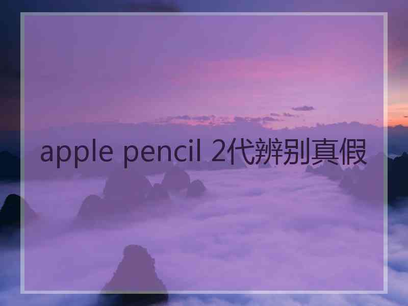 apple pencil 2代辨别真假