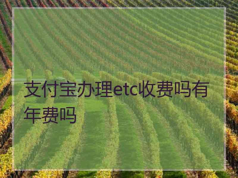 支付宝办理etc收费吗有年费吗