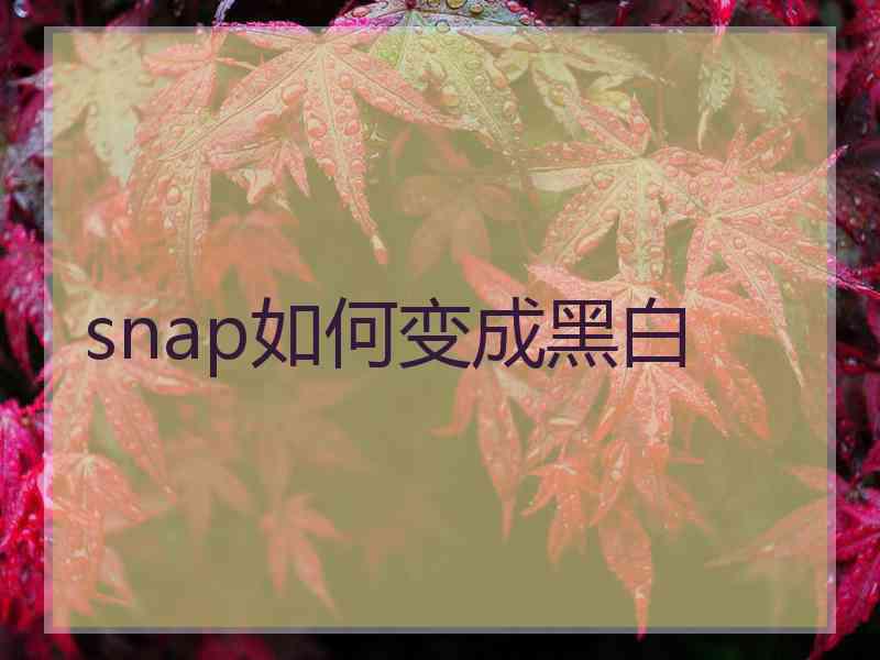 snap如何变成黑白