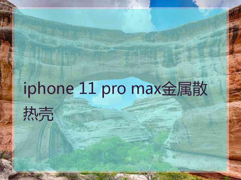 iphone 11 pro max金属散热壳