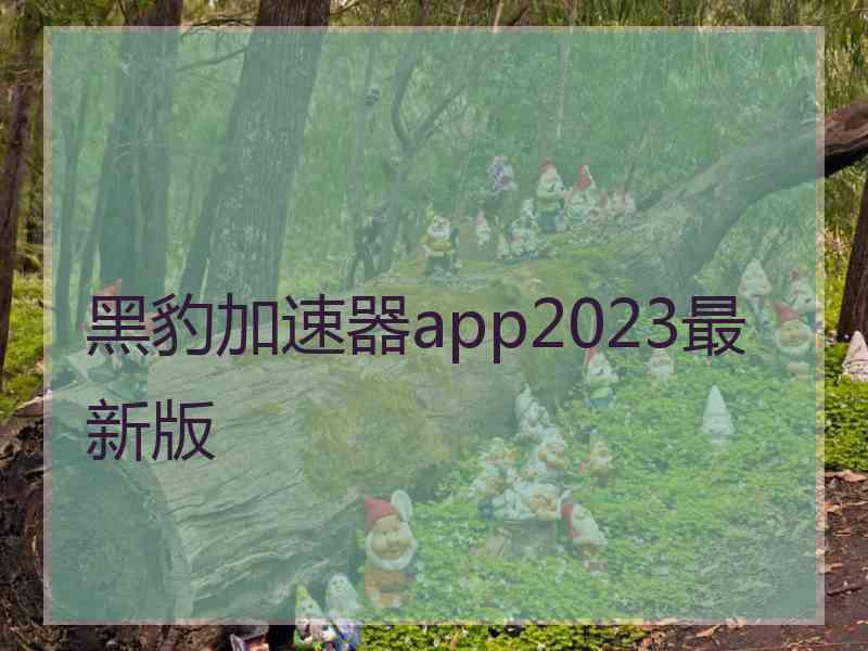 黑豹加速器app2023最新版