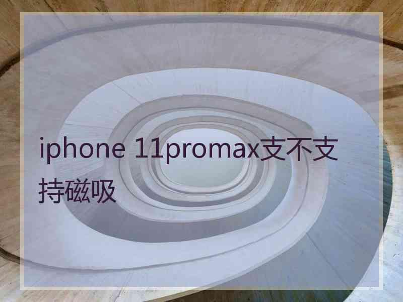 iphone 11promax支不支持磁吸