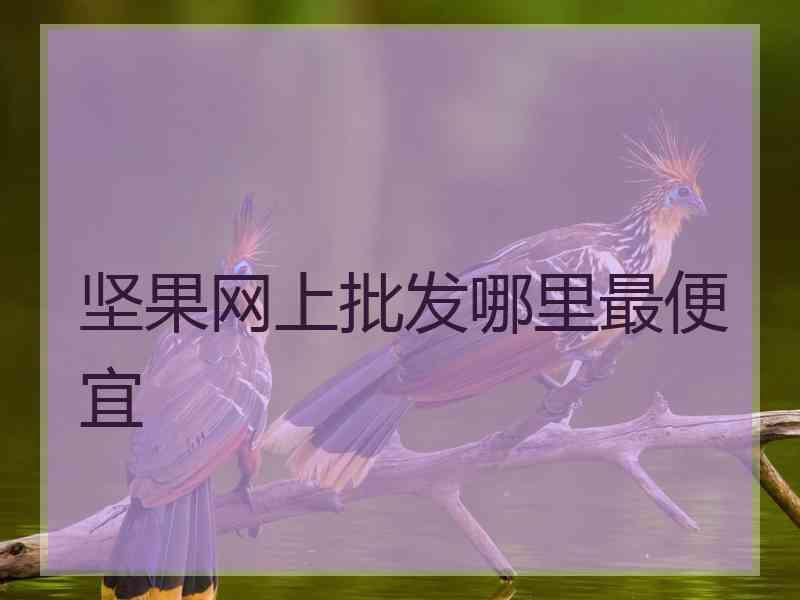 坚果网上批发哪里最便宜