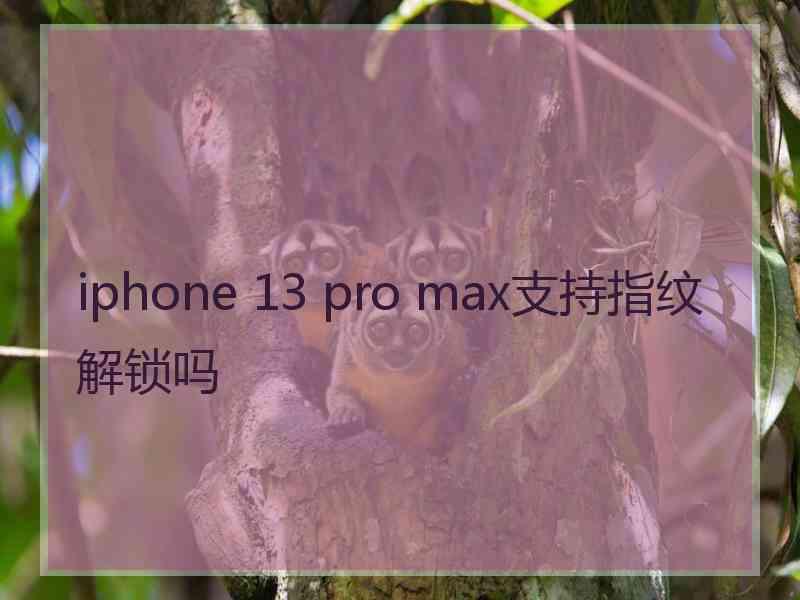 iphone 13 pro max支持指纹解锁吗