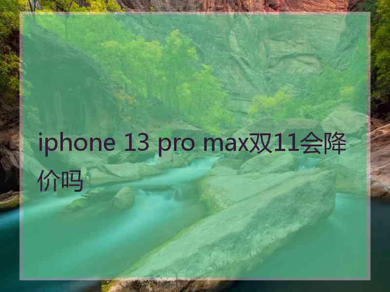 iphone 13 pro max双11会降价吗