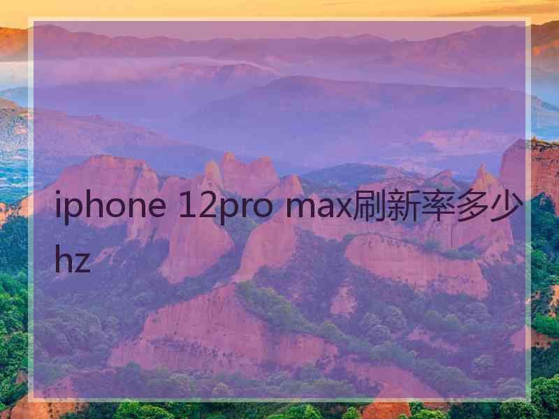 iphone 12pro max刷新率多少hz