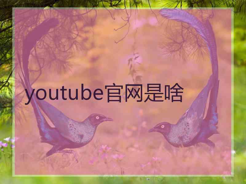 youtube官网是啥