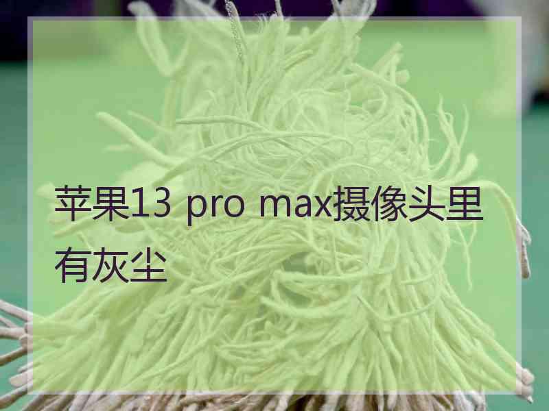 苹果13 pro max摄像头里有灰尘