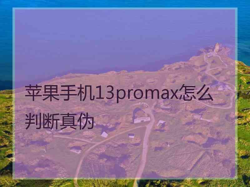 苹果手机13promax怎么判断真伪