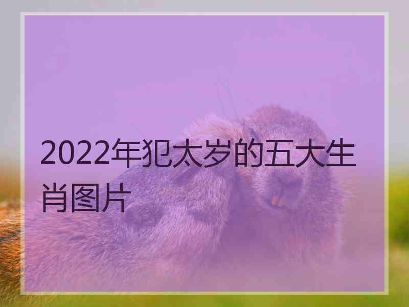 2022年犯太岁的五大生肖图片