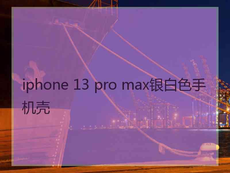 iphone 13 pro max银白色手机壳