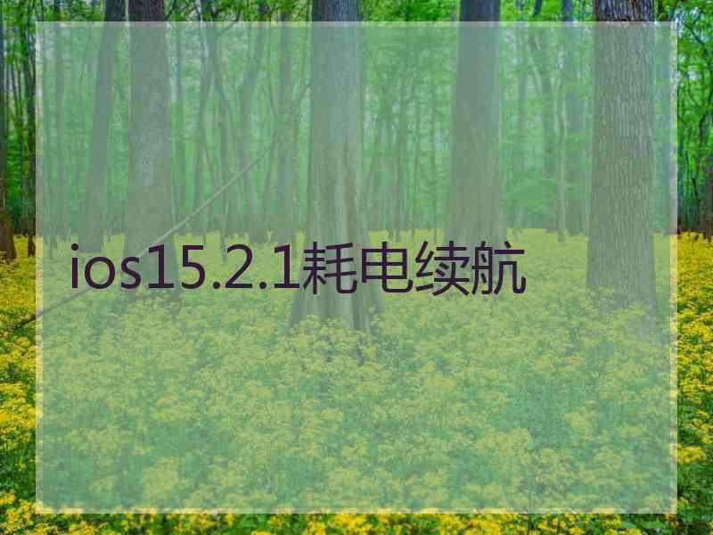 ios15.2.1耗电续航