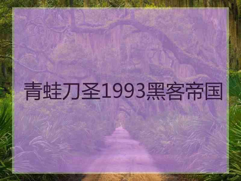 青蛙刀圣1993黑客帝国