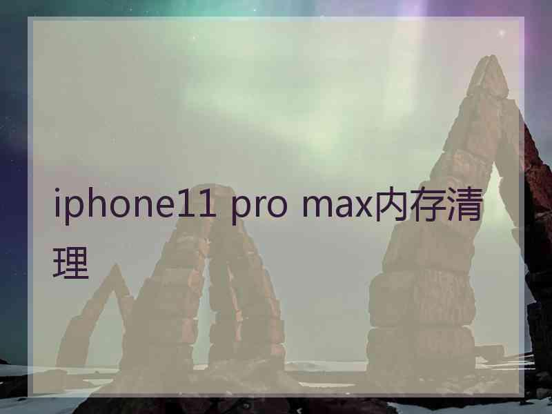 iphone11 pro max内存清理