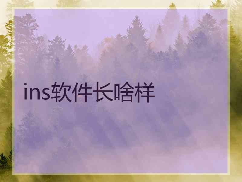 ins软件长啥样