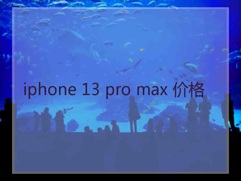 iphone 13 pro max 价格