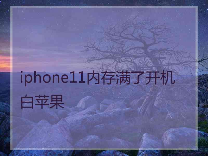 iphone11内存满了开机白苹果