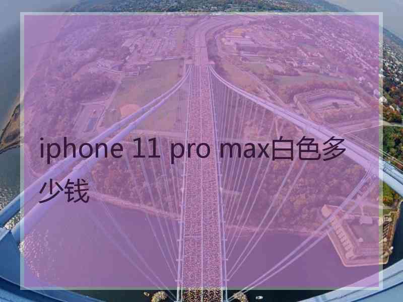 iphone 11 pro max白色多少钱