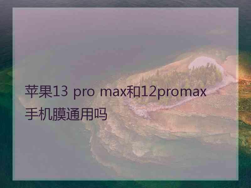 苹果13 pro max和12promax手机膜通用吗