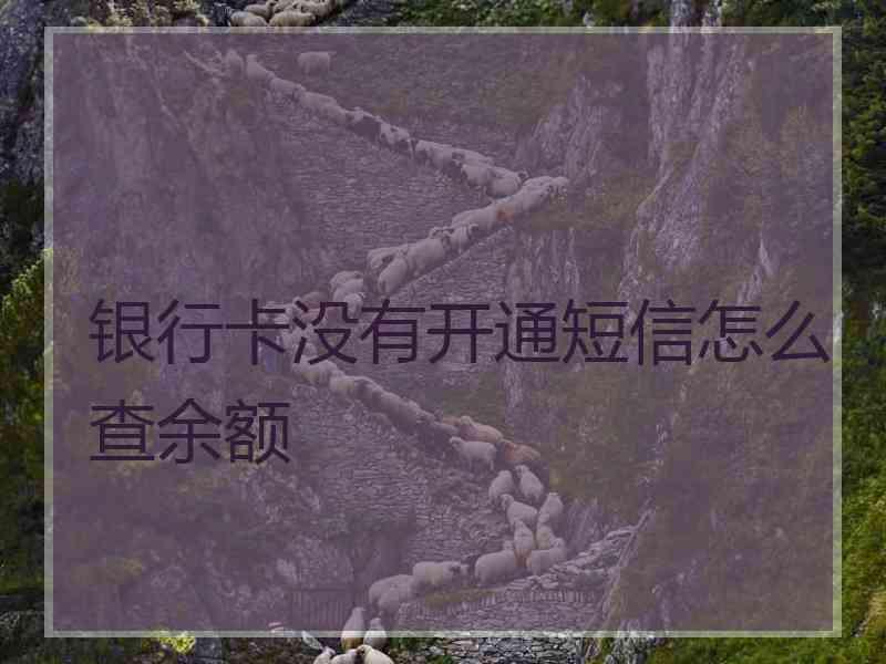 银行卡没有开通短信怎么查余额