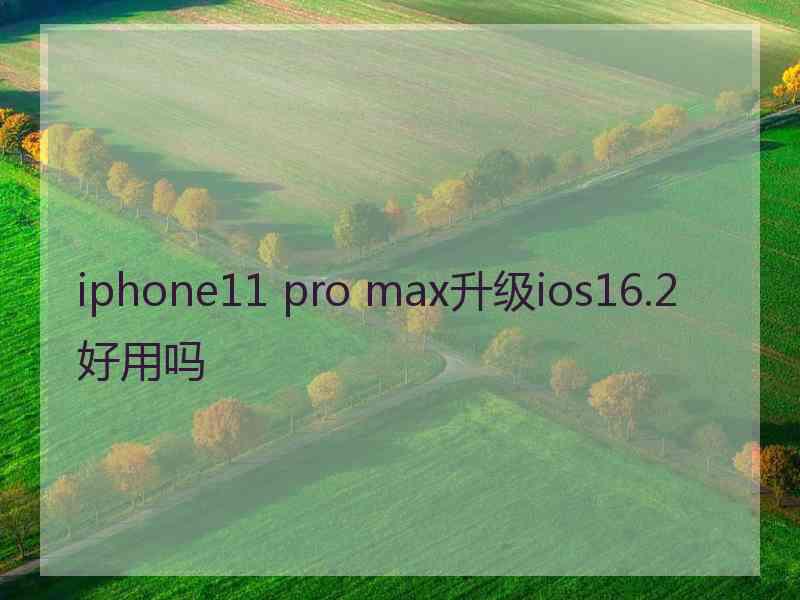 iphone11 pro max升级ios16.2好用吗