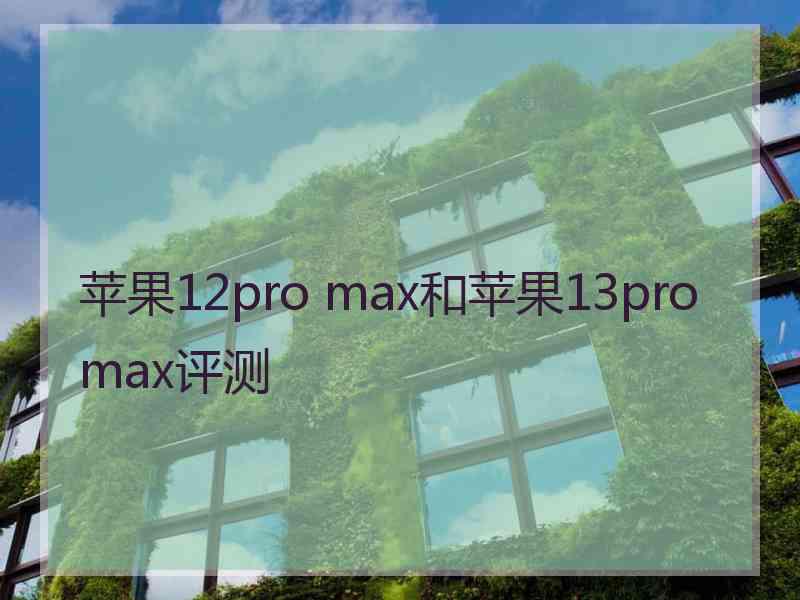 苹果12pro max和苹果13promax评测