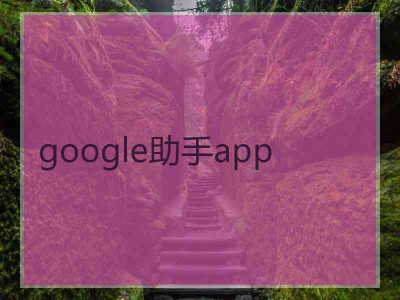 google助手app