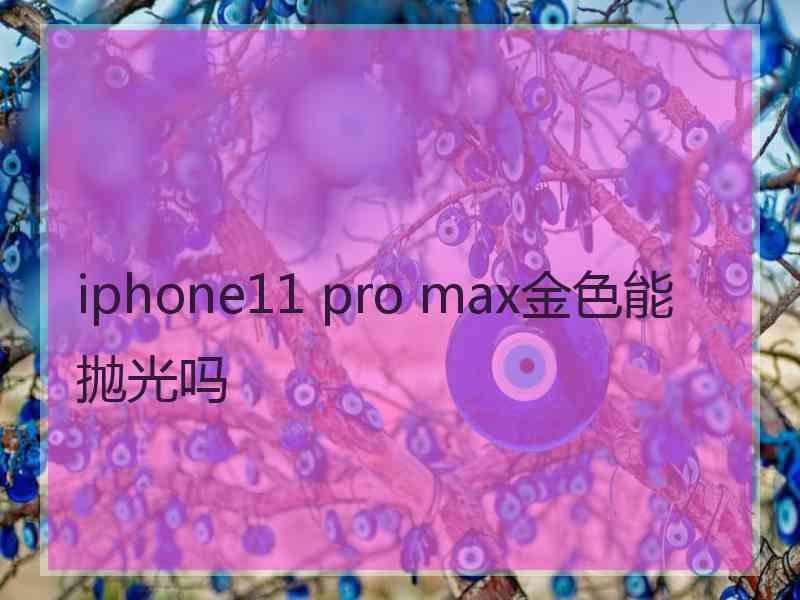 iphone11 pro max金色能抛光吗