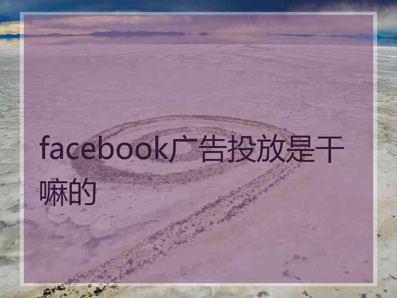 facebook广告投放是干嘛的