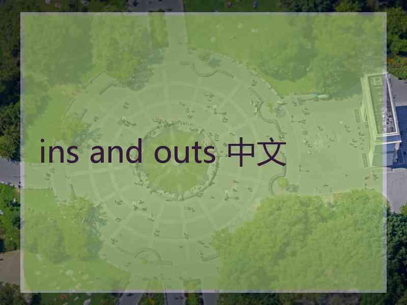 ins and outs 中文