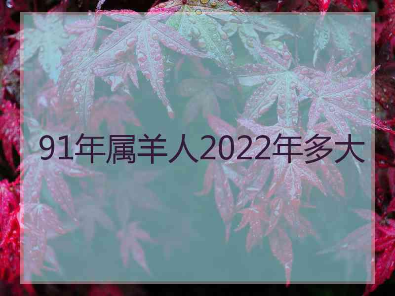 91年属羊人2022年多大