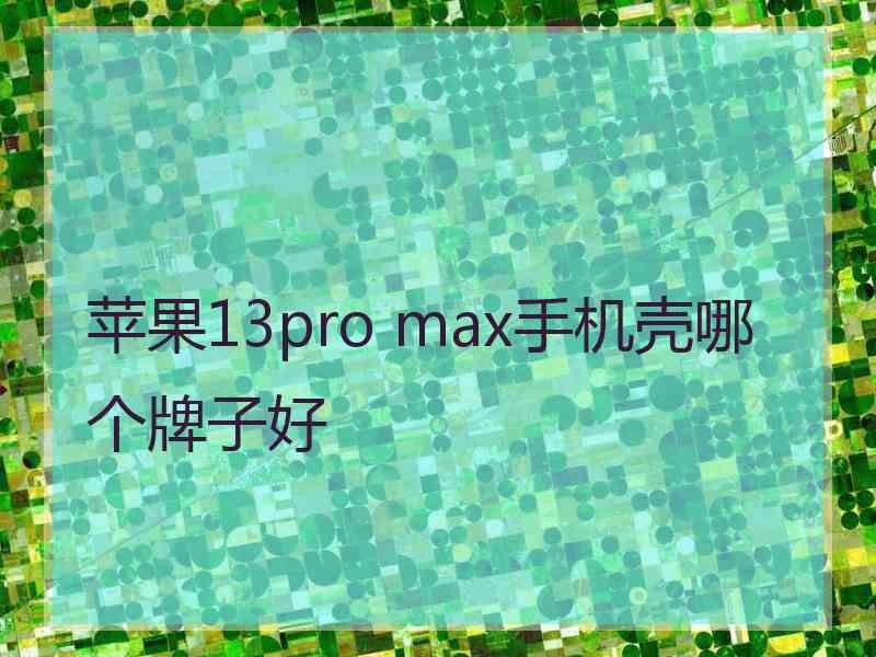 苹果13pro max手机壳哪个牌子好