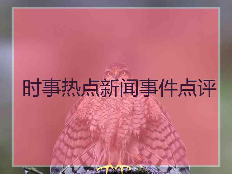 时事热点新闻事件点评