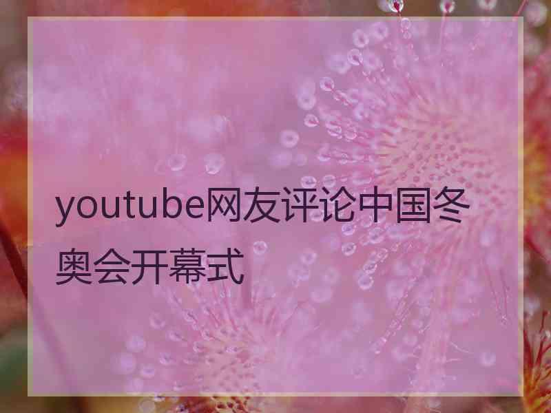 youtube网友评论中国冬奥会开幕式