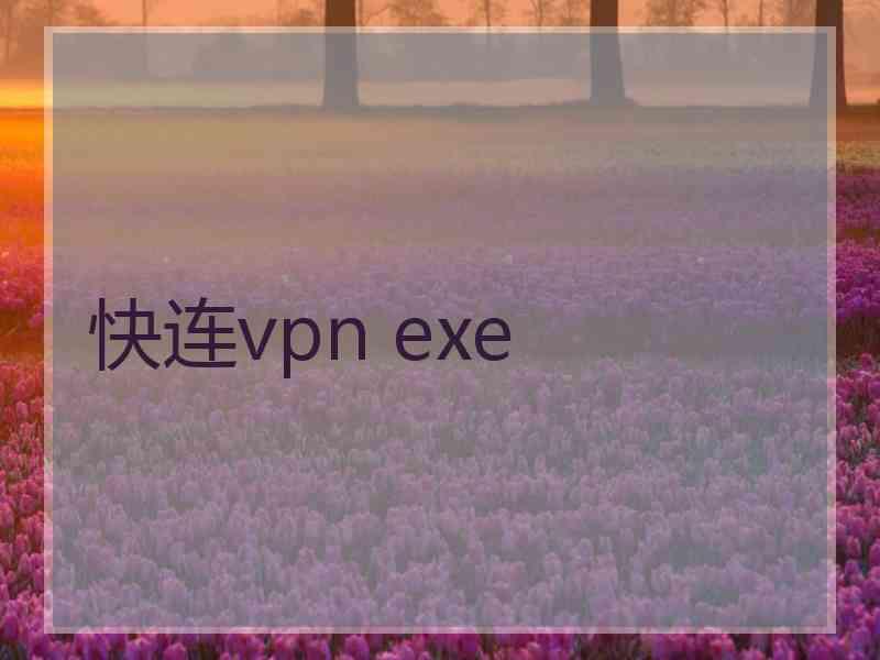 快连vpn exe