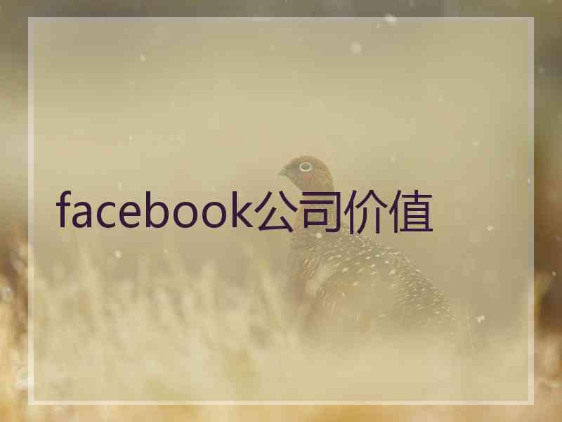 facebook公司价值