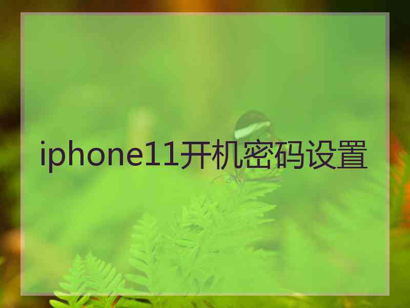 iphone11开机密码设置