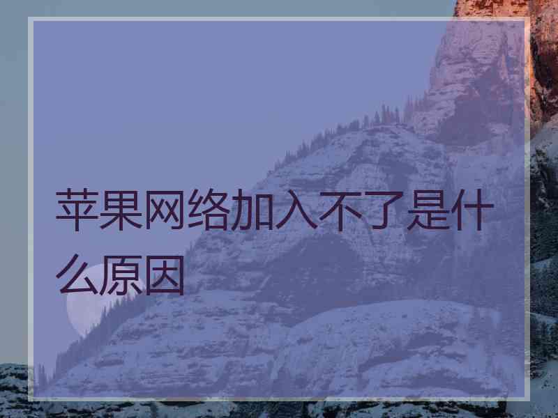 苹果网络加入不了是什么原因