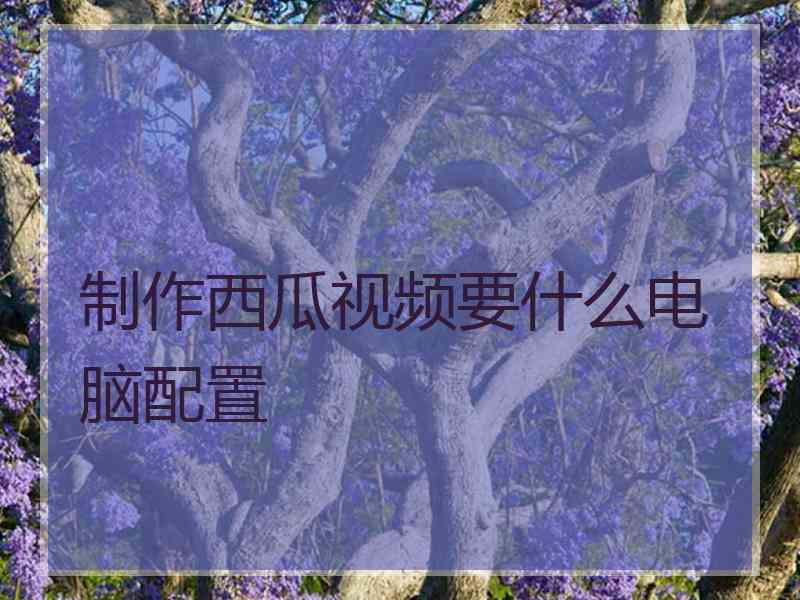 制作西瓜视频要什么电脑配置